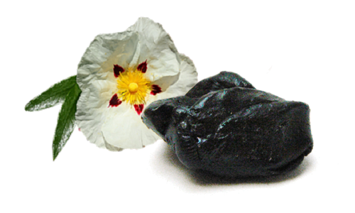 روایح عنبری